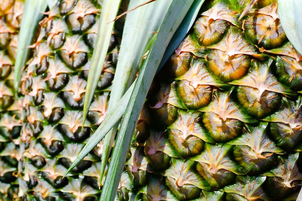 Pineapple texture fresh ripe pineapple background — Stock Photo, Image