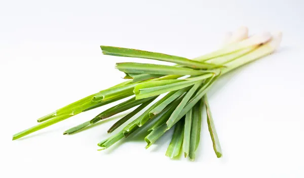 Lemon Grass on white background — Stock Photo, Image