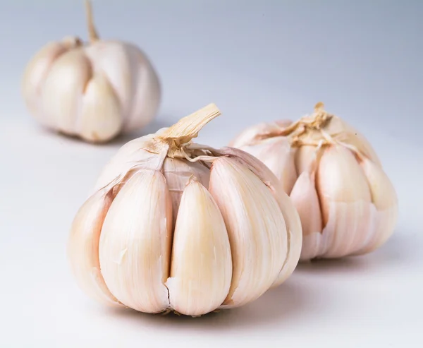 Garlic on the background — Stock Photo, Image