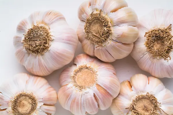 Garlic on the background — Stock Photo, Image