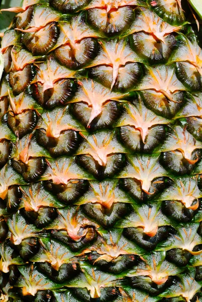 パイナップル テクスチャ新鮮な熟したパイナップル背景 — ストック写真
