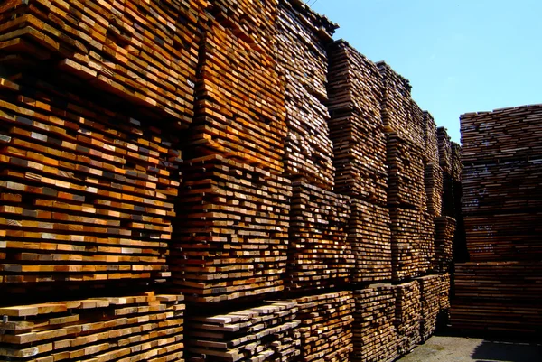 Pila de madera aserrada con fondo — Foto de Stock