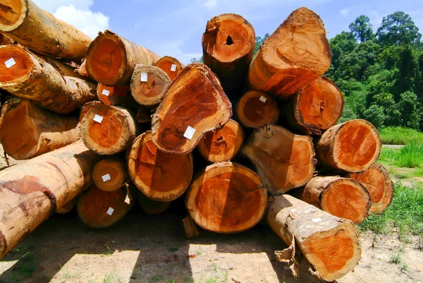 Hout. hout gestapeld — Stockfoto