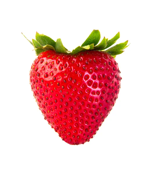 Frische Erdbeeren im Hintergrund — Stockfoto