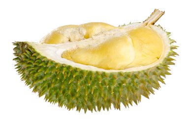 değerli durian meyve kabuk (kılıf).