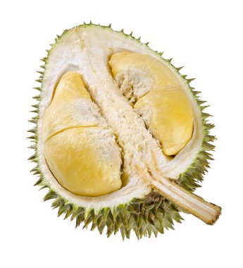 değerli durian meyve kabuk (kılıf).