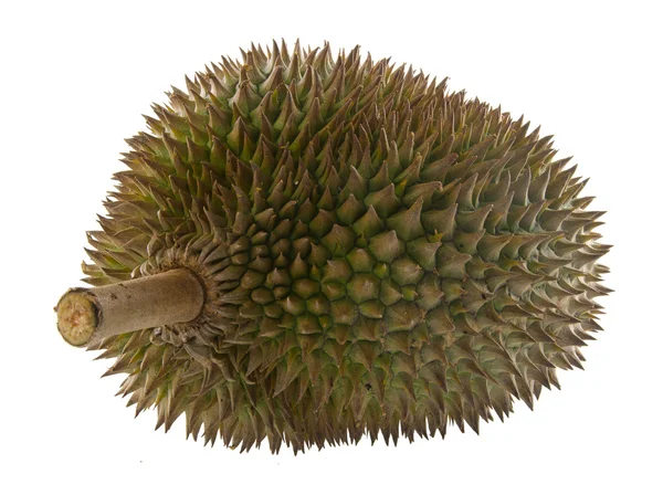 Durian, ο βασιλιάς της φρούτα Νοτιοανατολικής Ασίας σε φόντο. — Φωτογραφία Αρχείου