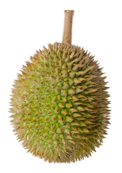 Durian, король фруктов Юго-Восточной Азии на заднем плане . — стоковое фото