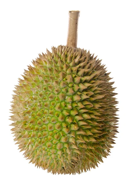 Durian, meyve Güney Doğu Asya arka planda kralı.