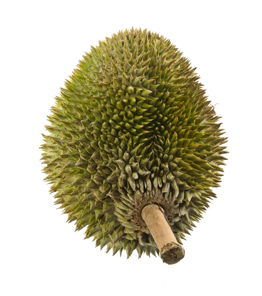 Durian, de koning van vruchten Zuid-Oost-Azië op achtergrond. — Stockfoto