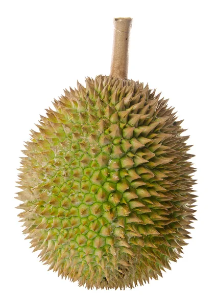Durian, der König der Früchte Südostasiens im Hintergrund. lizenzfreie Stockbilder