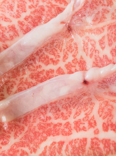 Japanilaista ruokaa. naudanlihan viipale taustalla — kuvapankkivalokuva
