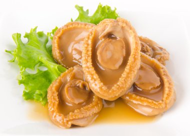 abalones. Çin Mutfağı abalone zemin üzerine.