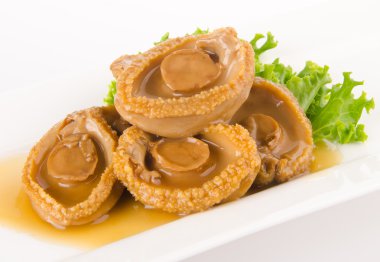 abalones. Çin Mutfağı abalone zemin üzerine.