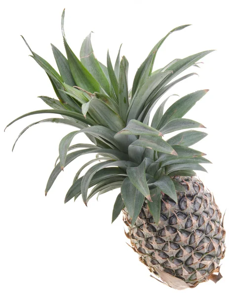 Pineapple, Pineapple tropical fruit on background — Stock Photo, Image