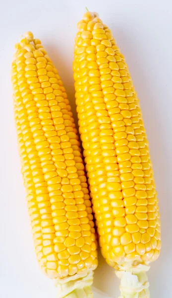 Yellow sweet corn on the background — Stock Photo, Image