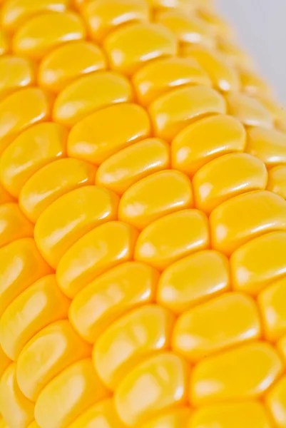 Yellow sweet corn on the background — Stock Photo, Image