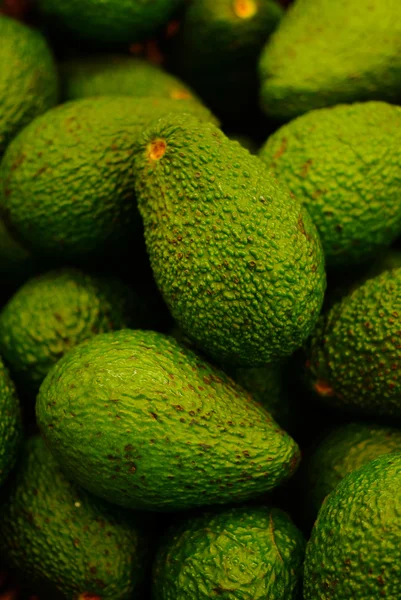 Aguacate. Aguacate sobre fondo — Foto de Stock