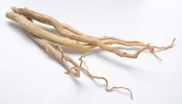 Tongkat Ali, doğanın cinsel uyarıcısı..