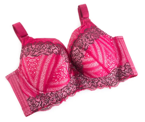 Bra. Stylish bra the on a background — Stock Photo, Image