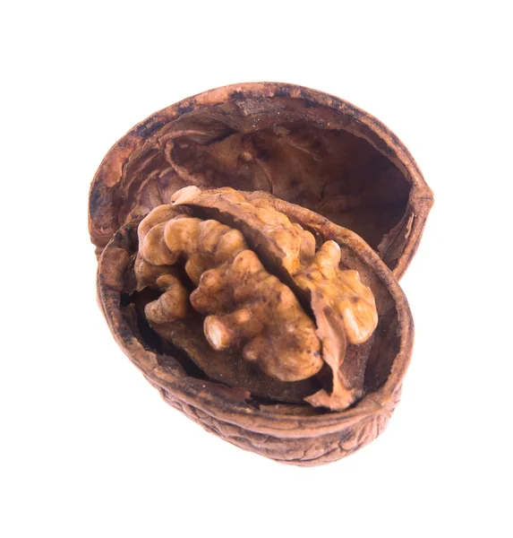 Nut. walnut on the background — Stock Photo, Image