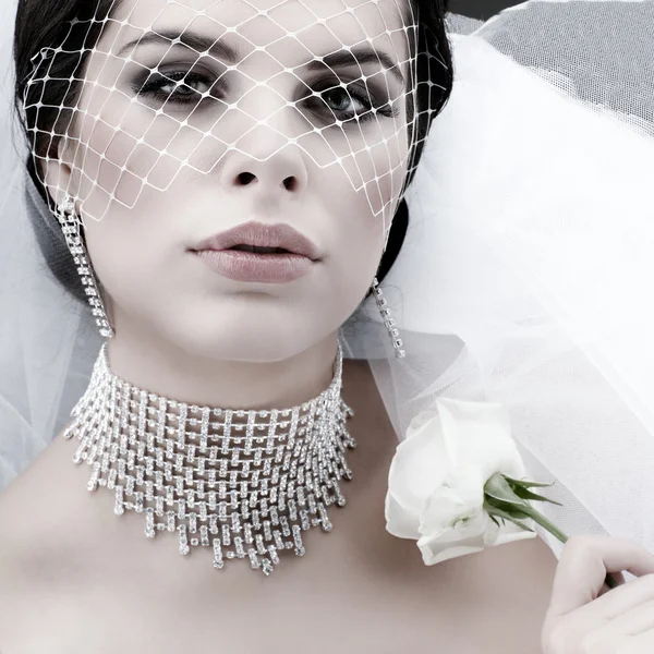 Ritratto di bella sposa. Abito da sposa. Decorazione di nozze — Foto Stock