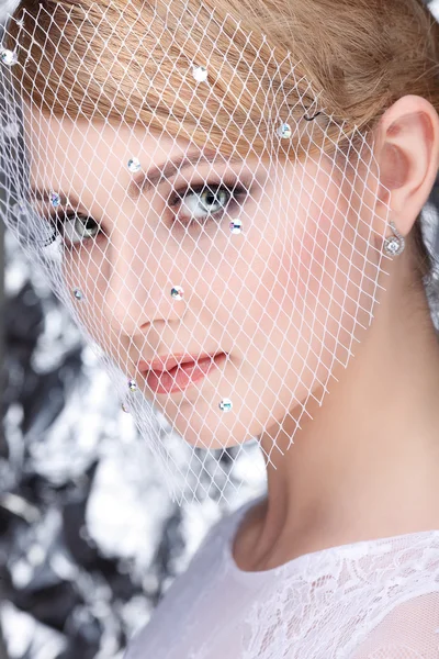 Beautiful white-headed girl in a veil on a silvery background, emotions, cosmetics — Stock Photo, Image