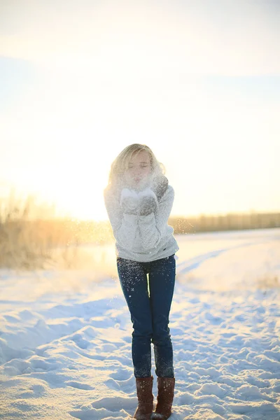 Winterschönheit — Stockfoto