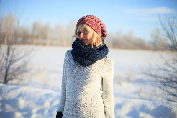 Belleza de invierno — Foto de Stock