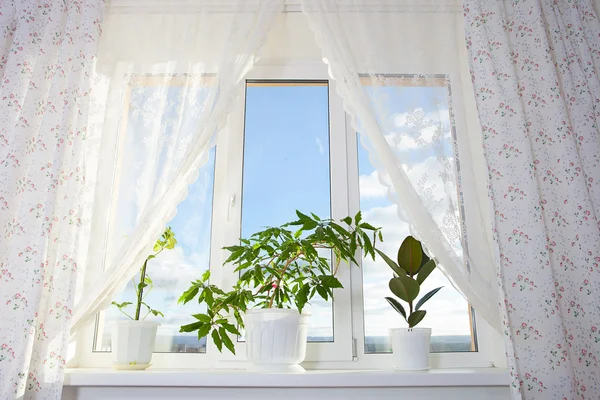 Imagen de ventana y cortina en la habitación — Foto de Stock