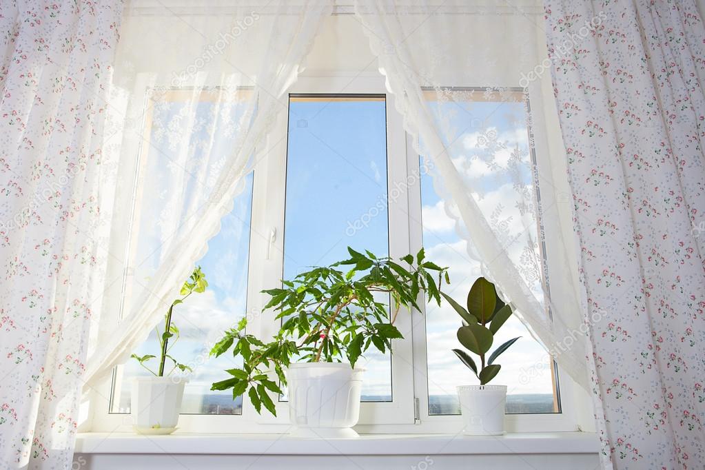 Image of window and curtain in the room