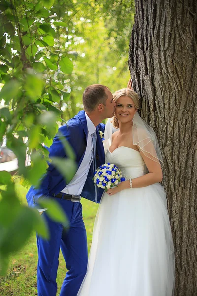 La coppia recentemente sposata in piedi a parco — Foto Stock