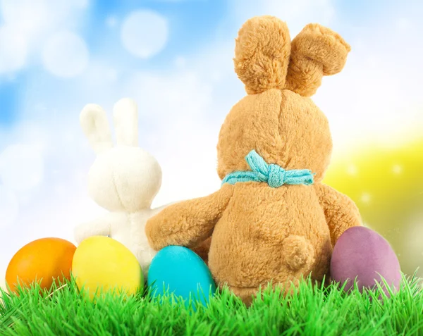 Húsvéti tojás és nyuszi a réten — Stock Fotó