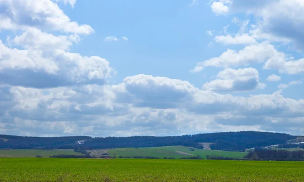 Green field Landscape — Stock Photo, Image