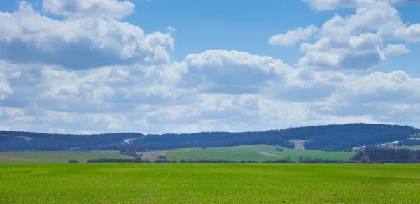 Green field Landscape — Stock Photo, Image