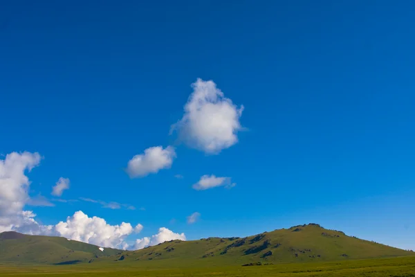 Prati alpini — Foto Stock