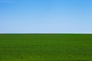 Yeşil Alan Manzarası