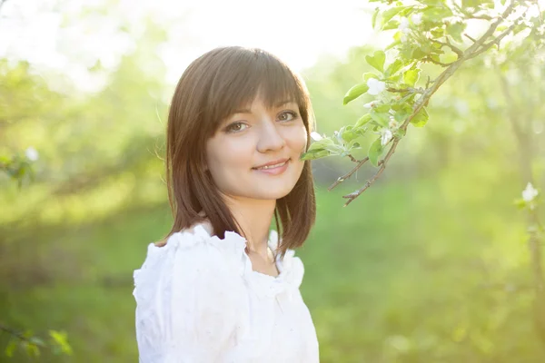 Blossom — Stock Photo, Image