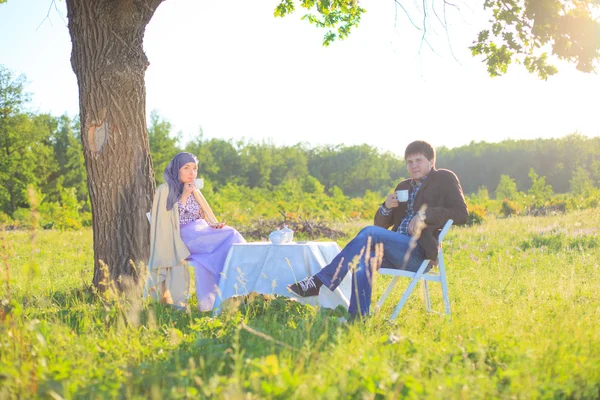 Haciendo un picnic — Foto de Stock