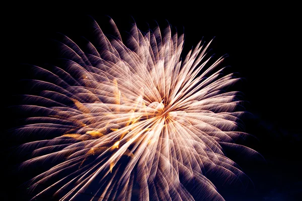 4th of July firework — Stock Photo, Image