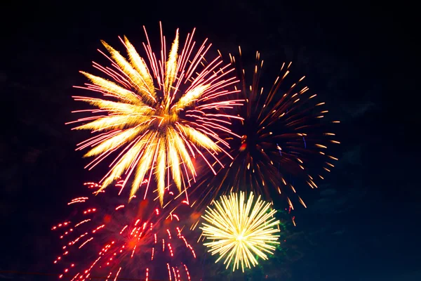 Colorful firework display — Stock Photo, Image