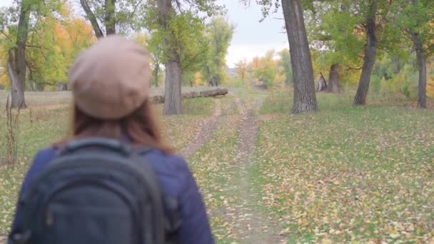 Meisje toerist op een wandeling in het herfstbos — Stockvideo