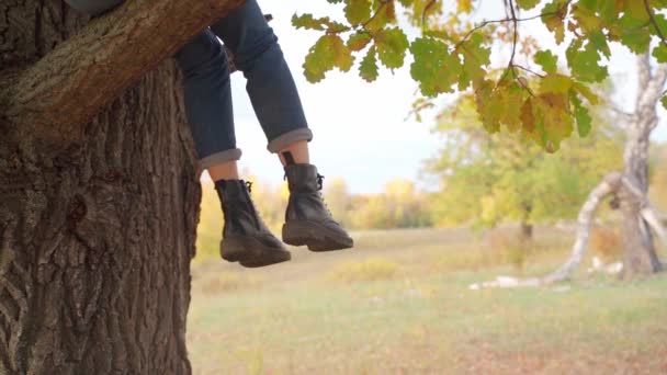 Menina turista em uma caminhada na floresta de outono — Vídeo de Stock