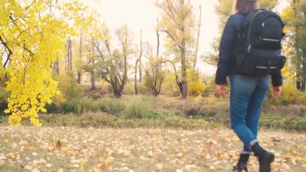 Chica turista en una caminata en el bosque de otoño — Vídeos de Stock