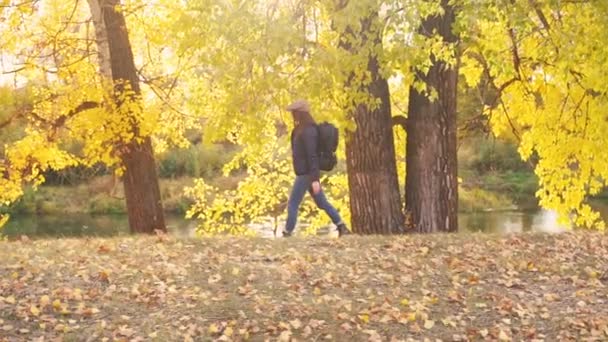 秋の森の中でハイキング中の女の子の観光客 — ストック動画
