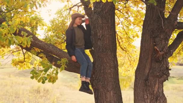 Chica turista en una caminata en el bosque de otoño — Vídeo de stock