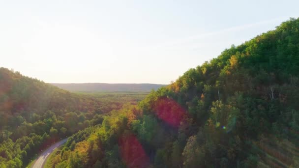 Повітряне відео гір, дорожнього та літнього лісу — стокове відео
