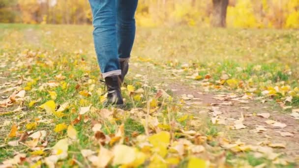 Sonbahar ormanında yürüyüşe çıkmış bir kız turist. — Stok video