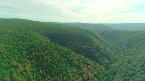 Video aereo di nuvole, montagne, foreste e fiumi di montagna — Video Stock