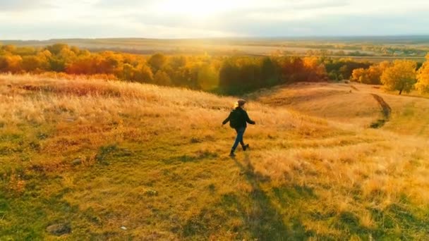 Vídeo aéreo. Chica turista en una caminata en el campo de otoño — Vídeo de stock